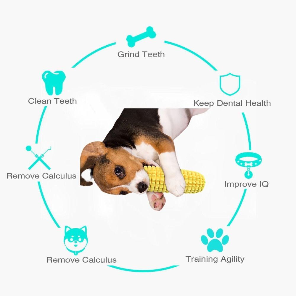 Sağlam Kauçuk Köpek Çiğneme Mı - Corn Dog Stick incelemesi ve fiyatı